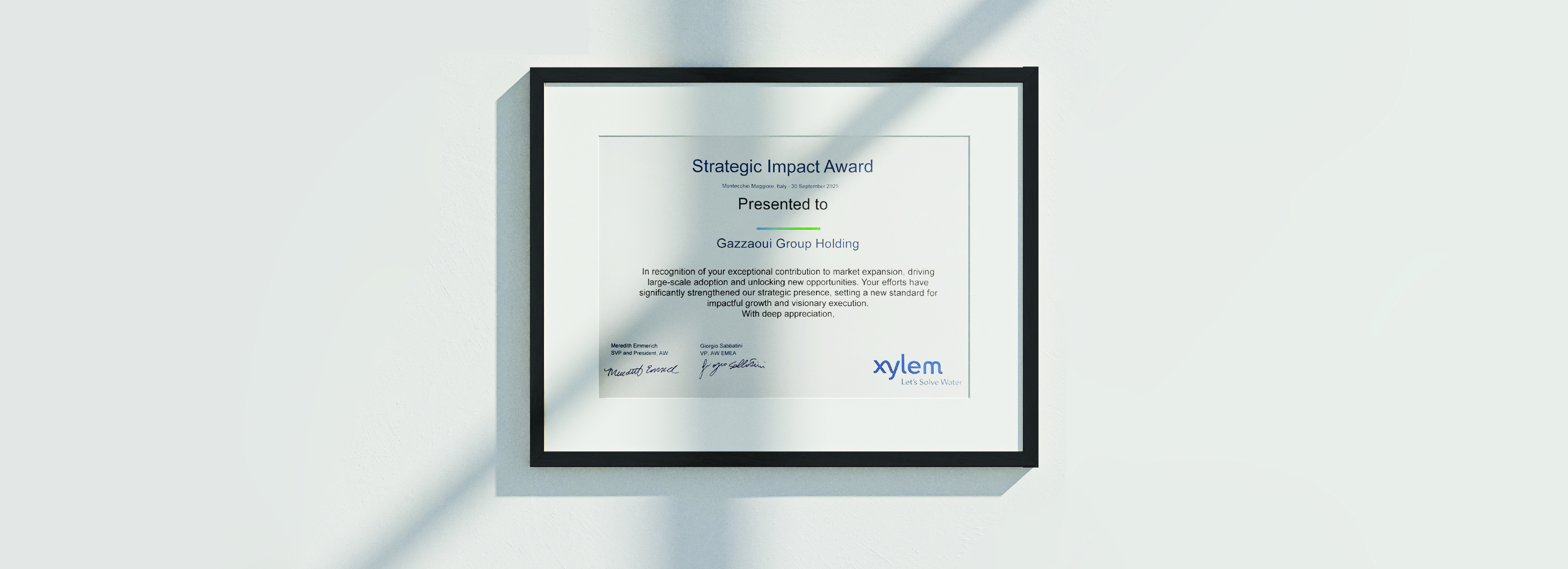 Gazzaoui Strategic Impact Award from Xylem